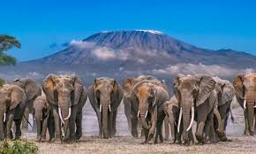 14 days Luxury Kenya Trip
