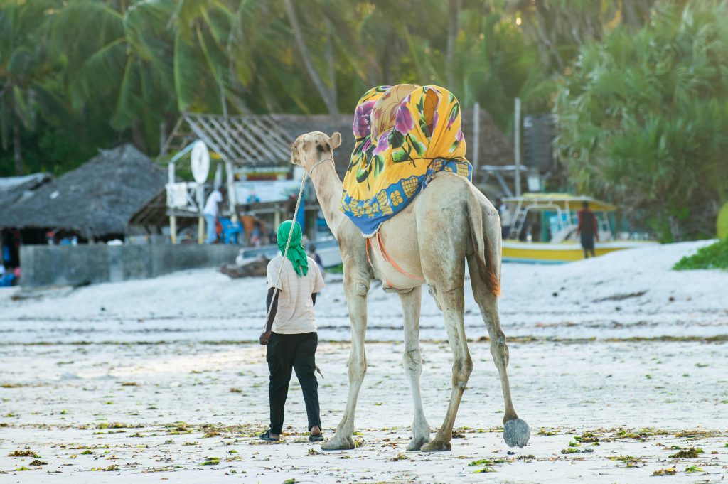 9 Days Masai and Diani Beach Experience