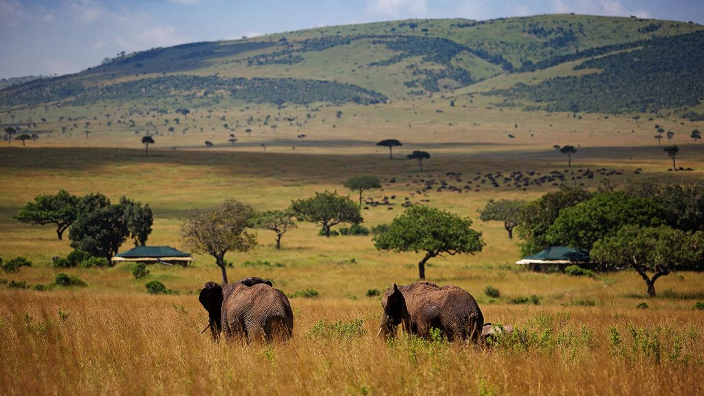 21 Day Premium Luxury Kenya Safari