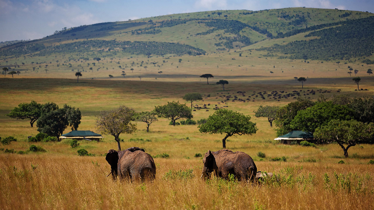 21 Day Premium Luxury Kenya Safari